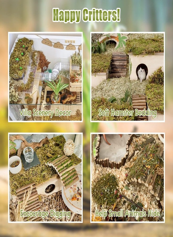 Riare 25QT Natural Hamster Moss Bedding Nesting-Soft Forest Moss Hamster Habitat Reptile Moss for Dwarf Syrian Hamsters, Mices, Gerbils, Reptiles, Small Pets (1.3LBS) - Image 4